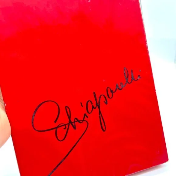 1950's Schiaparelli Stocking Duo - Unworn